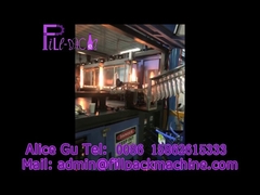 Macchina automatica soffiatrice di bottiglie da cinque galloni