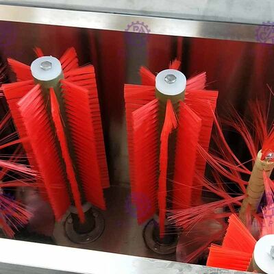 Macchina automatica della rondella della spazzola del decapsulatore dei semi del barilotto da 5 galloni con la doppia stazione fornitore